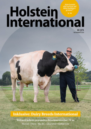 Holstein International Abos