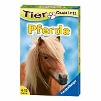 Tier Quartett – Pferde und Ponys