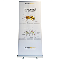 Die Anatomie der Honigbiene Roll-Up 85x200 cm