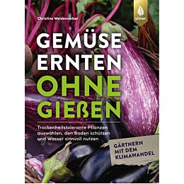 Gemüse ernten ohne gießen