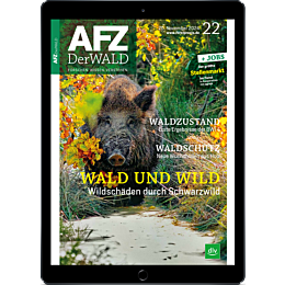 Digitalmagazin Probelesen