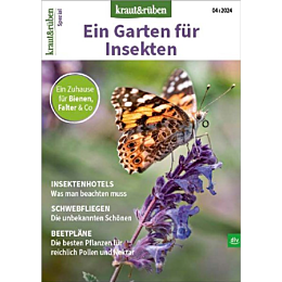 kraut&rüben Spezial 4/24 - Ein Garten für Insekten