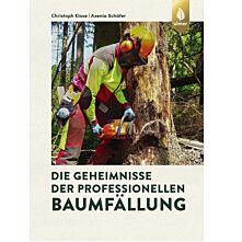 Die Geheimnisse der professionellen Baumfällung