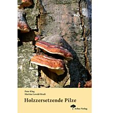 Holzzersetzende Pilze 