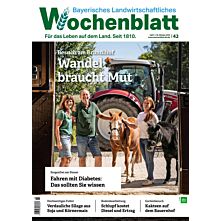 Weihnachts-Geschenk-Abo