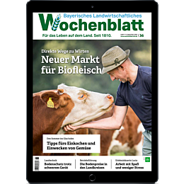 Digitale Ausgabe Probelesen für 1,- €