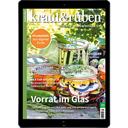 Digitale Ausgabe Probelesen