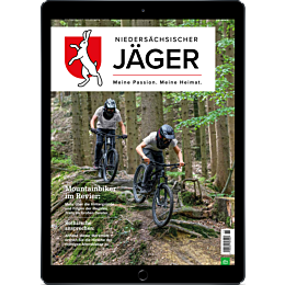 Digitalmagazin Probelesen